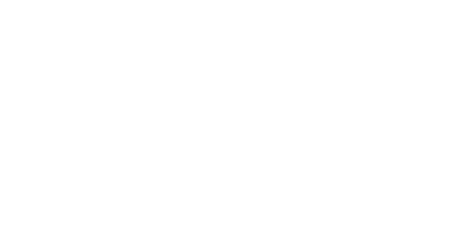 FLYP Fantasy Logo